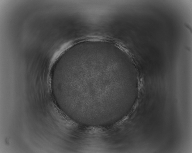 X0000101110343200807031745