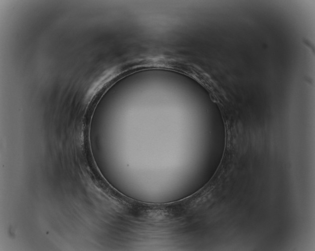 X0000101110344200807031745