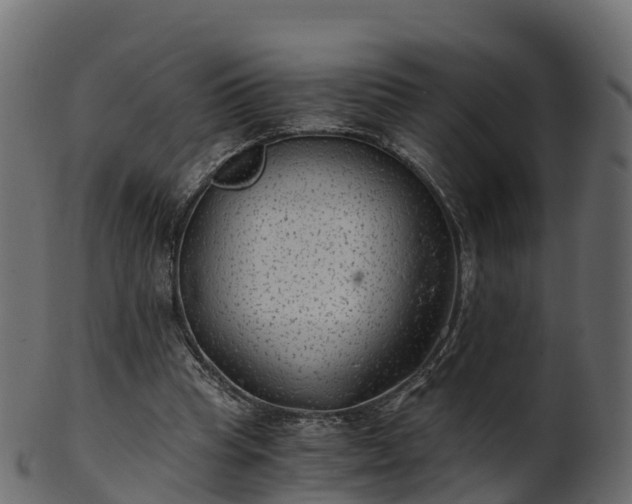 X0000101110345200807031745