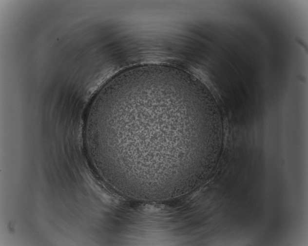 X0000101110346200807031745