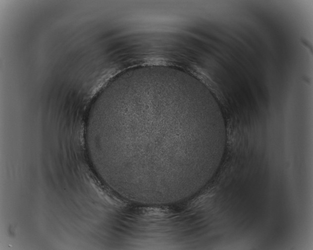 X0000101110347200807031745