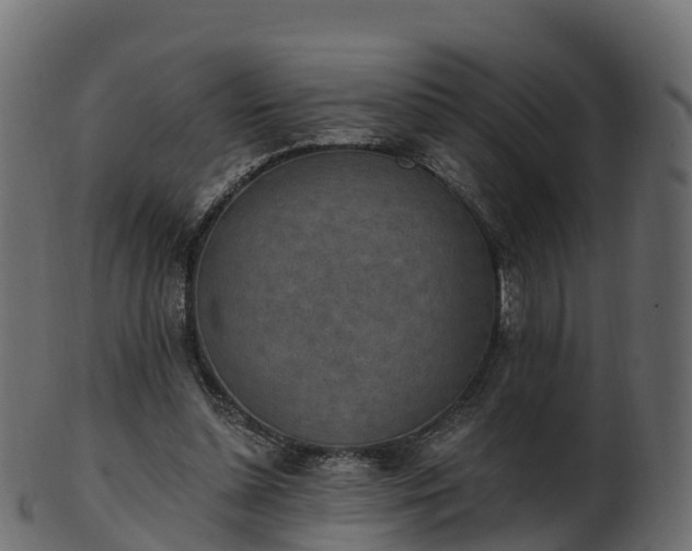X0000101110348200807031745