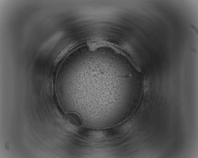 X0000101110349200807031745