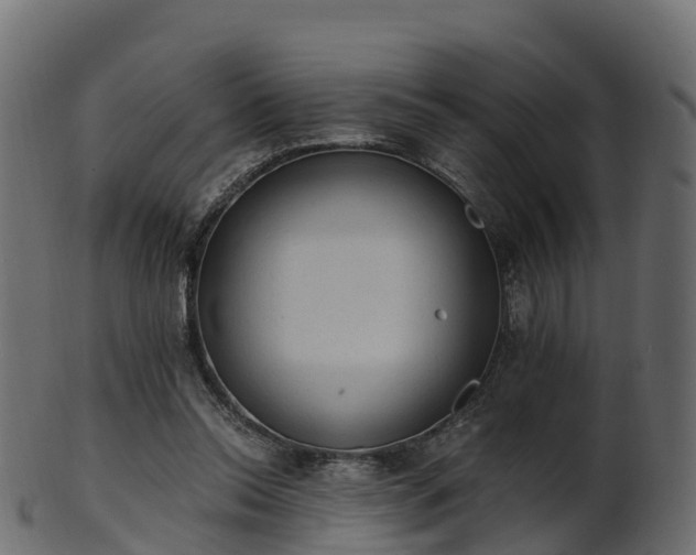 X0000101110350200807031745