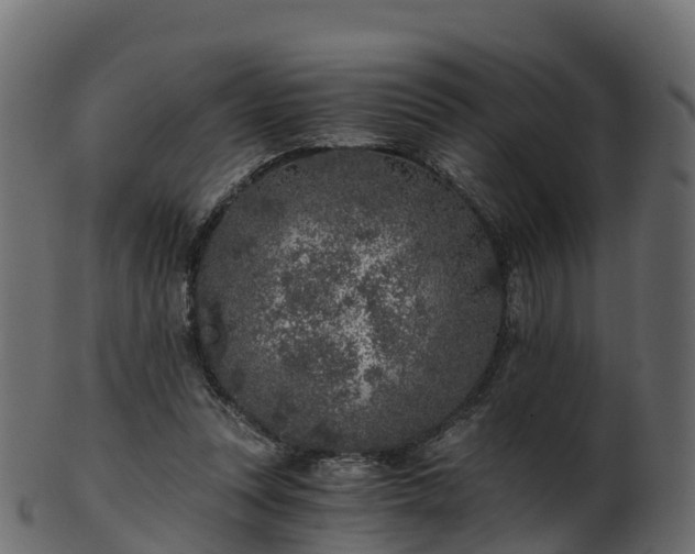 X0000101110351200807031745