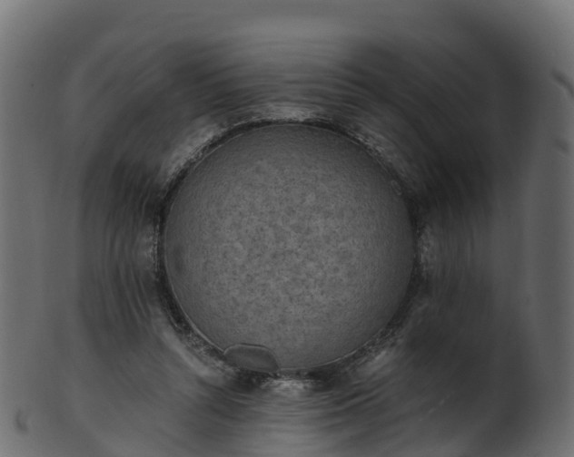 X0000101110352200807031745