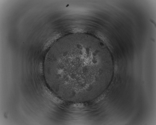 X0000101110353200807031745