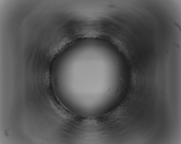 X0000101110354200807031745