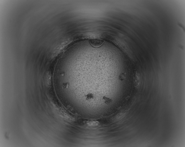 X0000101110355200807031745
