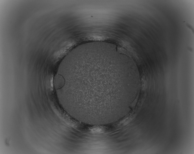 X0000101110358200807031745
