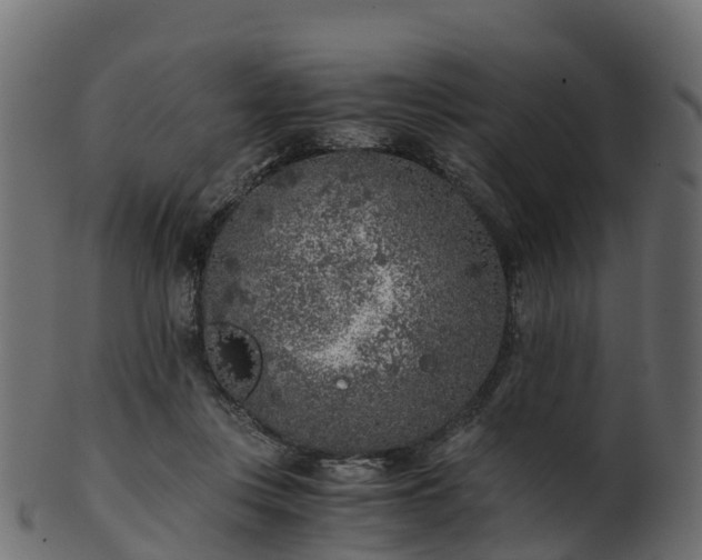 X0000101110359200807031745