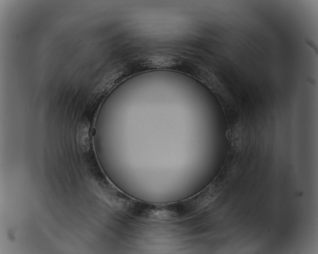 X0000101110360200807031745