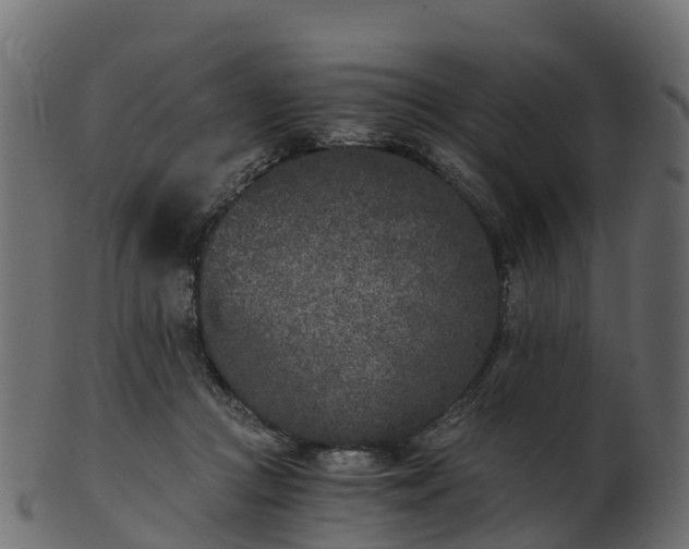 X0000101110361200807031745