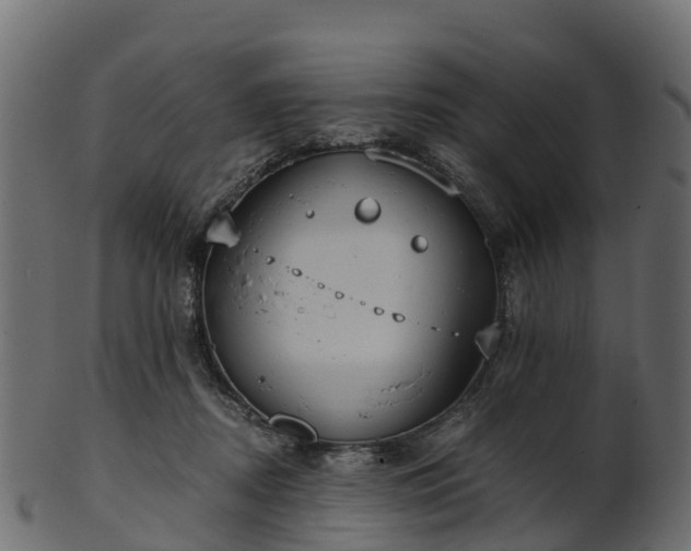 X0000101110362200807031745