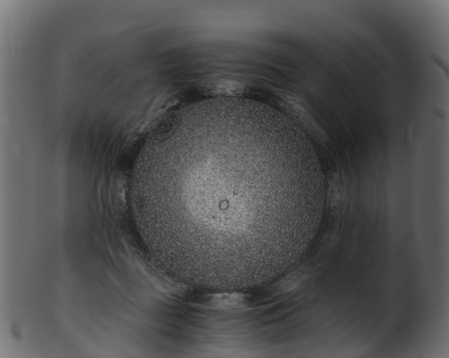 X0000101110363200807031745