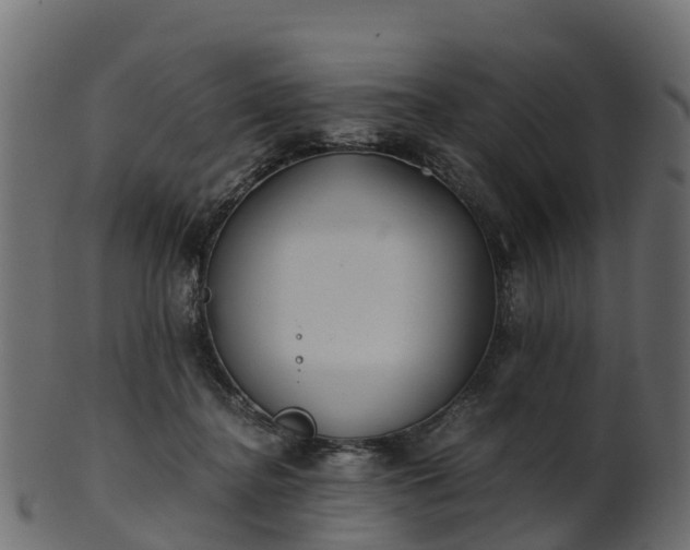 X0000101110364200807031745