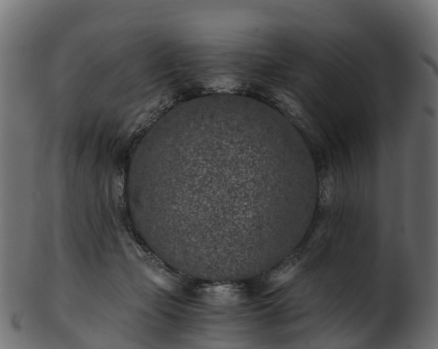X0000101110365200807031745