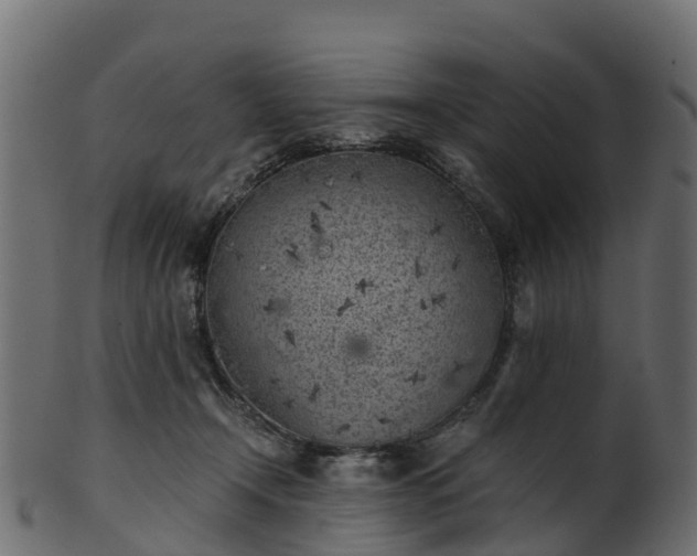 X0000101110366200807031745