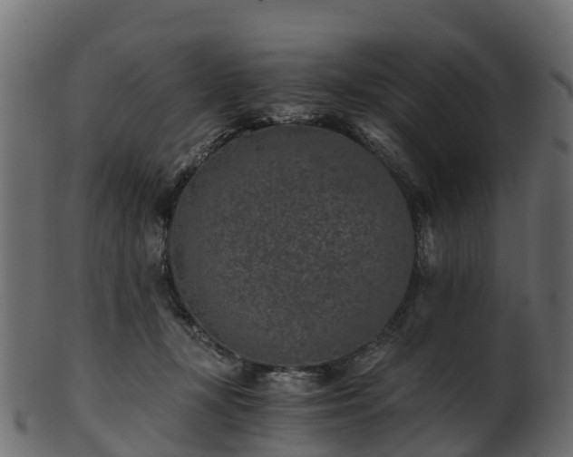 X0000101110367200807031745