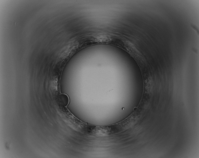 X0000101110368200807031745