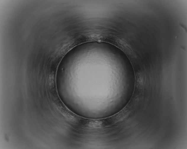 X0000101110369200807031745