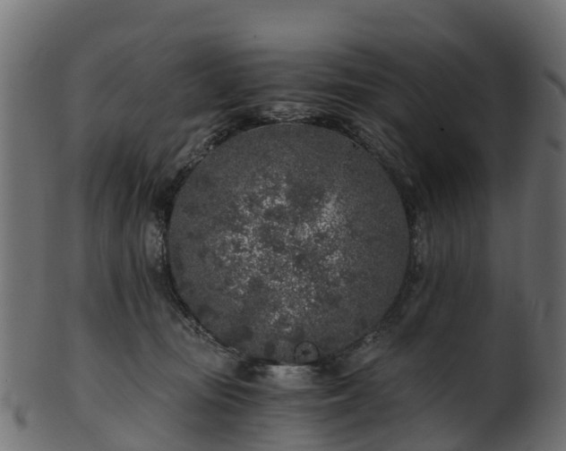 X0000101110371200807031745