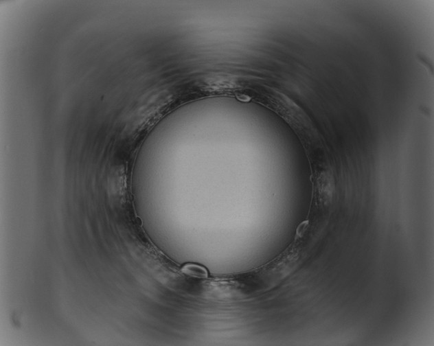 X0000101110372200807031745