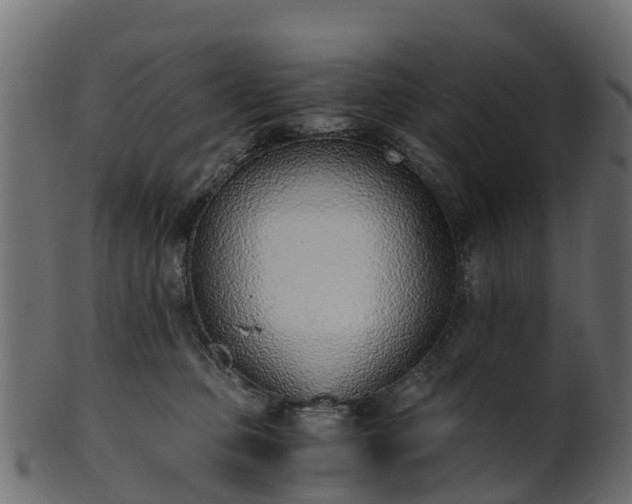 X0000101110373200807031745