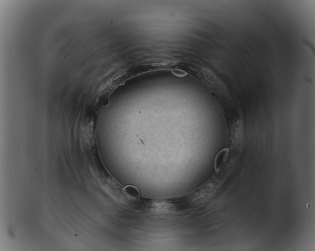 X0000101110376200807031745