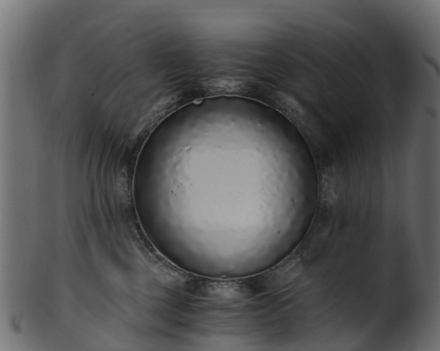 X0000101110377200807031745