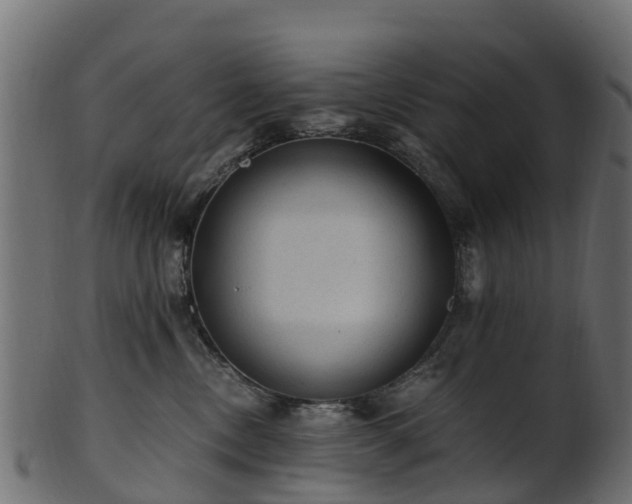 X0000101110378200807031745