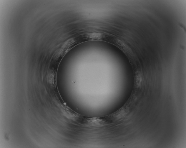 X0000101110379200807031745