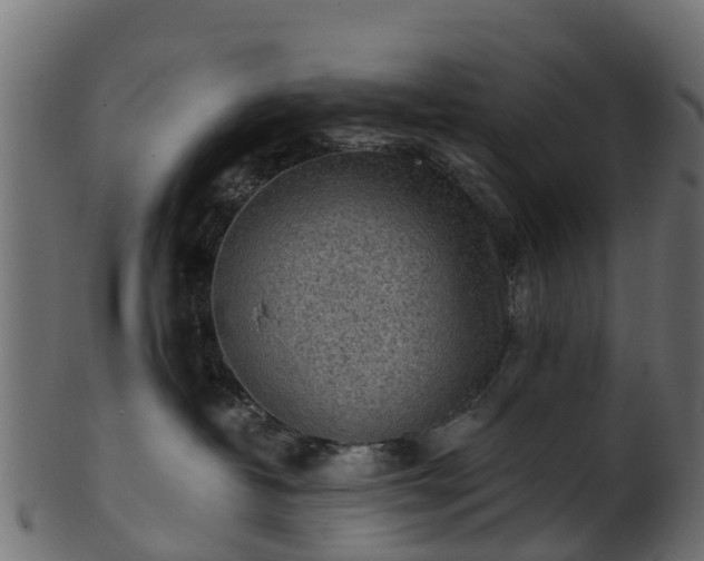 X0000101110382200807031745
