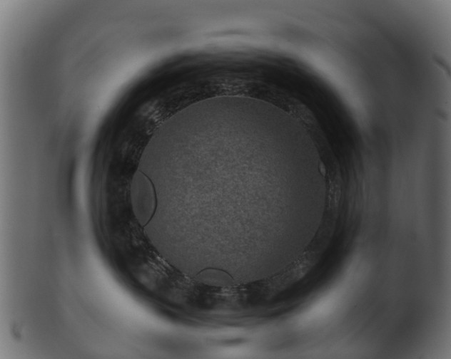X0000101110383200807031745