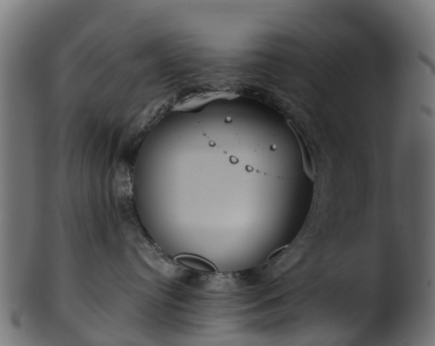 X0000101110384200807031745