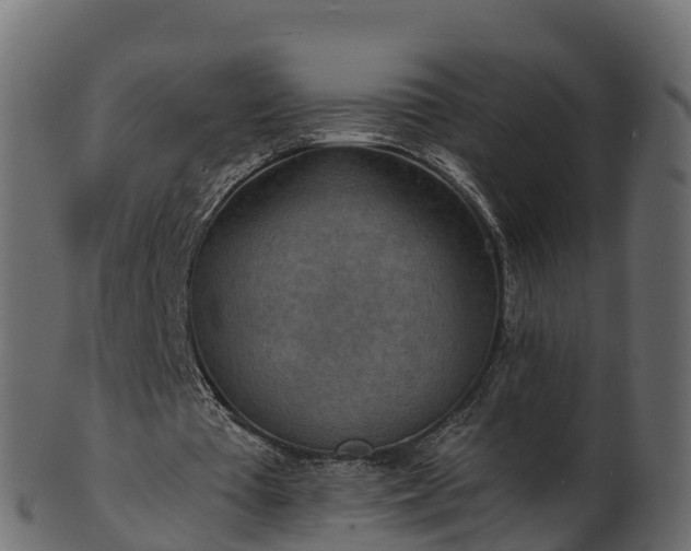 X0000101110385200807031744