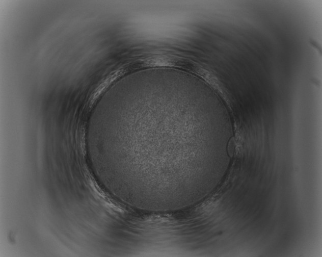 X0000101110386200807031744