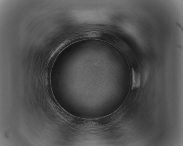 X0000101110387200807031744