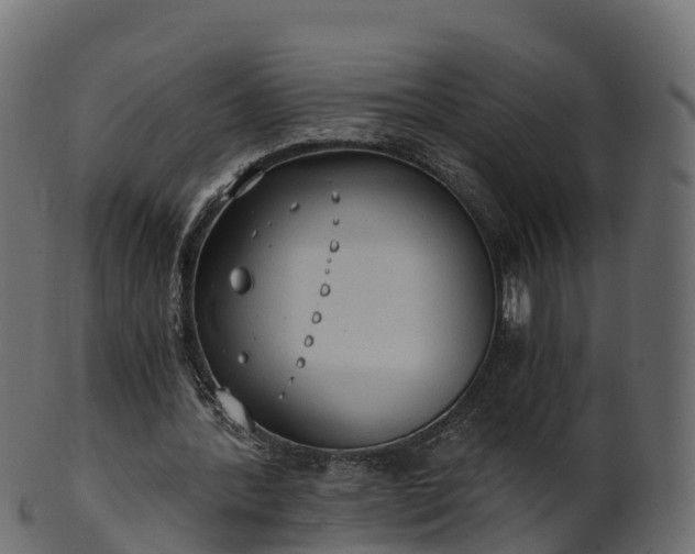 X0000101110388200807031744