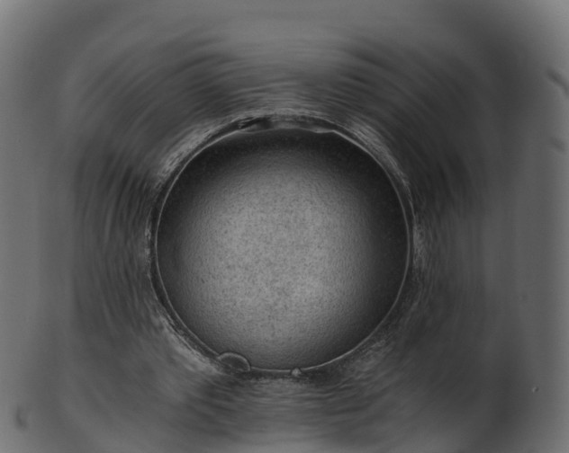 X0000101110389200807031744