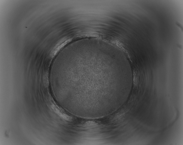 X0000101110390200807031744