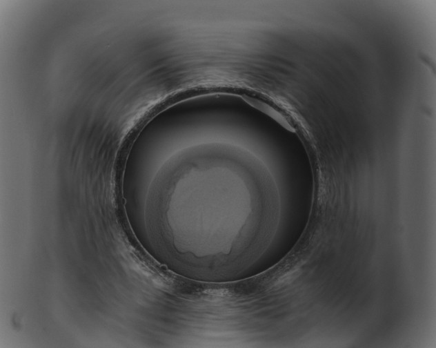 X0000101110391200807031744