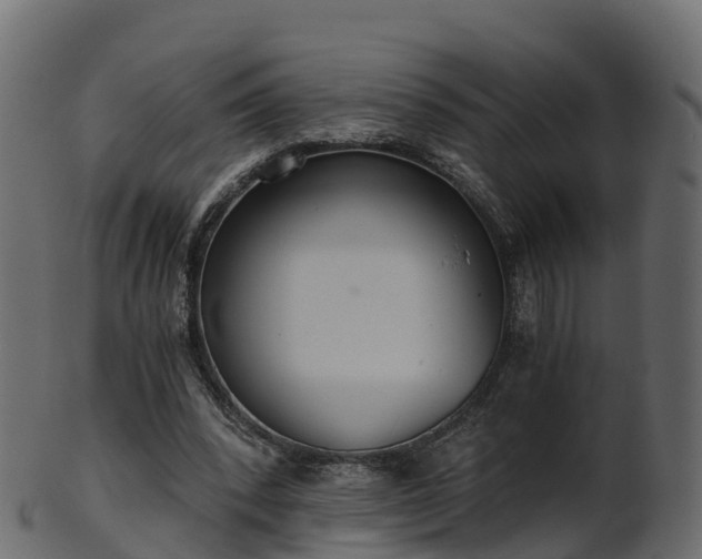 X0000101110392200807031744