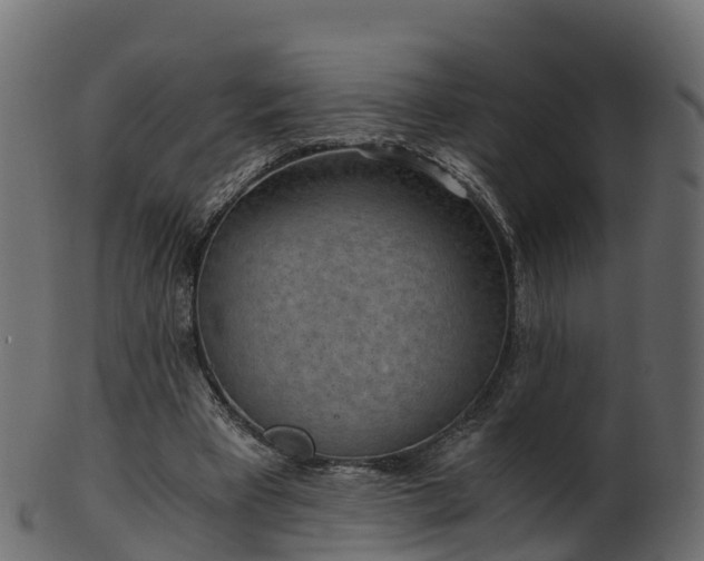 X0000101110393200807031744