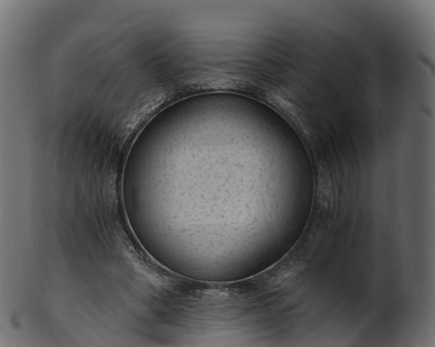 X0000101110394200807031744