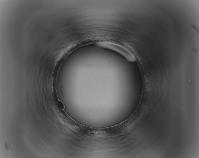 X0000101110395200807031744