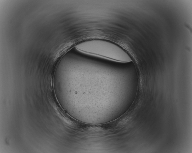X0000101110397200807031744