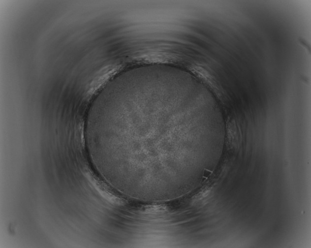 X0000101110398200807031744