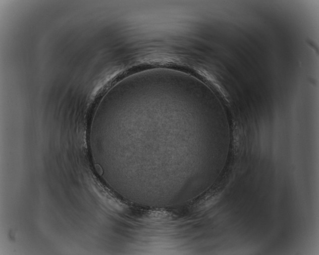 X0000101110399200807031744