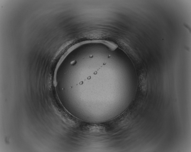 X0000101110400200807031744
